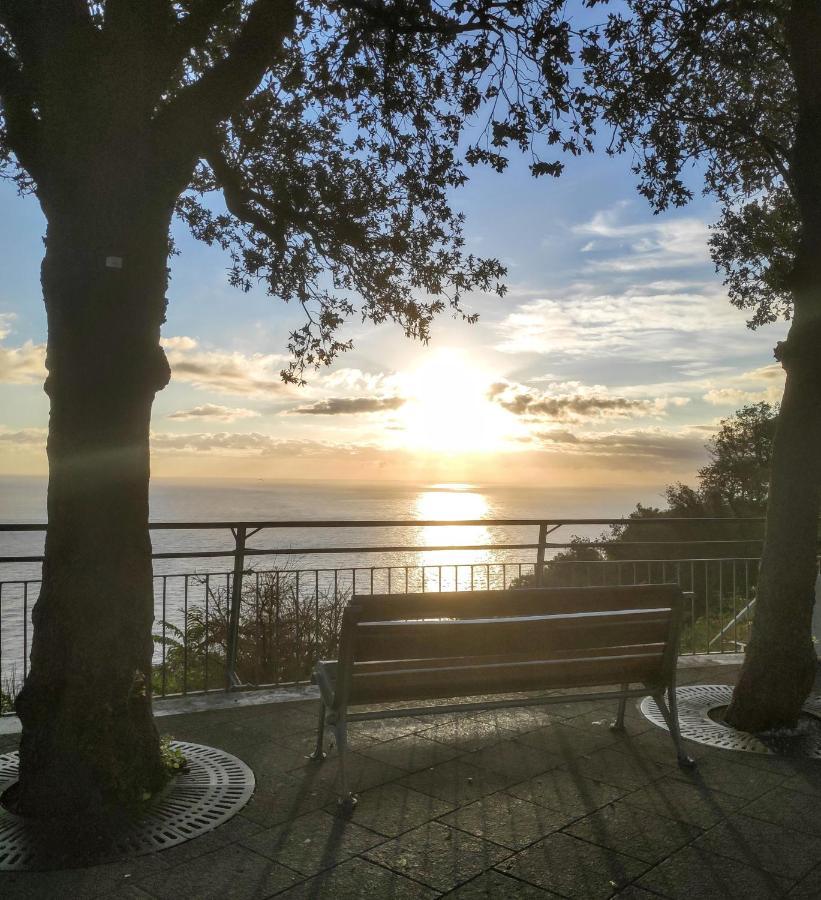 Appartamento L'Azalea - A Due Passi Da Numana Con Grande Terrazzo E Piscina Condominiale Stagionale Sirolo Eksteriør bilde